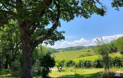 Givry, Burgundy 71640