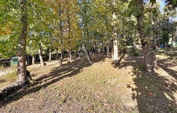 VILLAUDRIC, Occitanie 31620