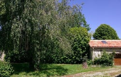 Anché, Poitou-Charentes 86700