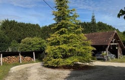 Limeyrat, Aquitaine 24210