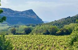Saint-Florent, Corsica 20217