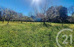 Céret, Languedoc-Roussillon 66400