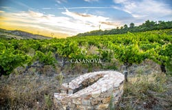 SAINT CHINIAN, Occitanie 34360