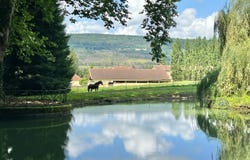 Jura, Bourgogne-Franche-Comté 39000