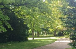 Faye-la-Vineuse, Centre-Val de Loire 37120