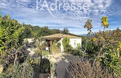 VALLE DI MEZZANA, Corsica 20167
