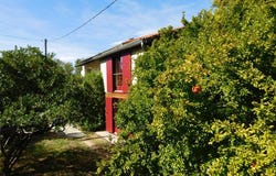 Aniane, Languedoc-Roussillon 34150