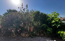 Muret, Midi-Pyrénées 31600