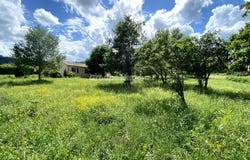 Verfeuil, Languedoc-Roussillon 30630