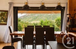 Patrimonio, Corsica 20253