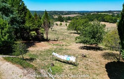Thiviers, Aquitaine 24800