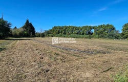 Elne, Languedoc-Roussillon 66200