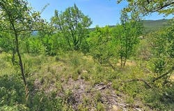 Herepian, Languedoc-Roussillon 34600