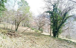 Privas, Rhône-Alpes 07000