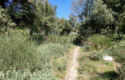 Rochefort-du-Gard, Occitanie 30650