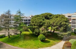 Saint-Cyprien, Languedoc-Roussillon 66750