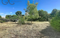 Puisserguier, Languedoc-Roussillon 34620