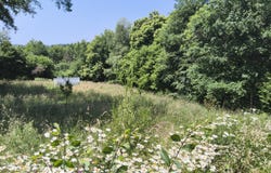 Domps, Limousin 87120