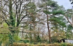 Veigne, Centre 37250