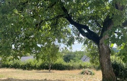 Villapourçon, Burgundy 58370