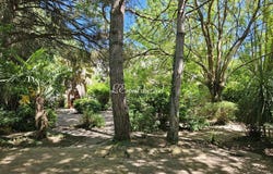 Saint-Sulpice-la-Pointe, Midi-Pyrénées 81370