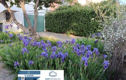 Perpignan, Languedoc-Roussillon 66000