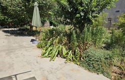 Servian, Languedoc-Roussillon 34290