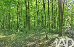 Luynes, Centre-Val de Loire 37230