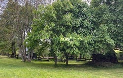 Oursel-Maison, Oise 60480