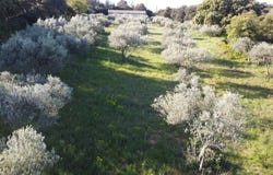 Saint-Siffret, Languedoc-Roussillon 30700