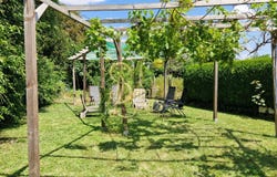 Chinon, Centre-Val de Loire 37500