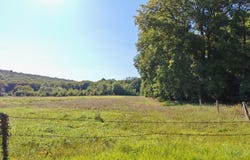Saint-Martin-d'Ablois, Champagne-Ardennes 51530