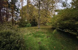 Villefranche-sur-Cher, Loir-et-Cher 41200