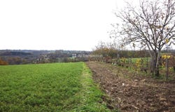 Badefols-d'Ans, Dordogne 24390