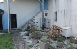 Lorignac, Poitou-Charentes 17240