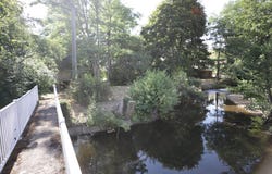 Fougerolles, Franche-Comté 70220