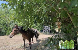La Cellette, Limousin 23350