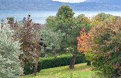 Maxilly-sur-Léman, Auvergne-Rhône-Alpes 74500