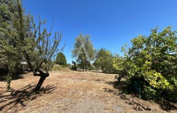 RABASTENS, Occitanie 81800