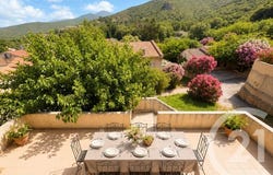 Patrimonio, Corsica 20253