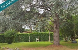 Roquefort, Aquitaine 40120