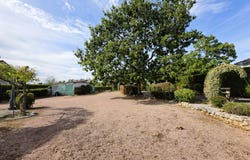 Curdin, Burgundy 71130