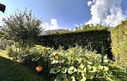 Scionzier, Rhône-Alpes 74950