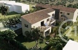 Lumio, Corsica 20260