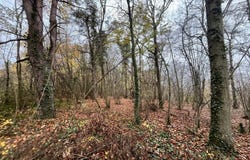 Belleu, Picardie 02200