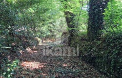 Quistinic, Brittany 56310