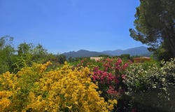 Laroque-des-Albères, Languedoc-Roussillon 66740