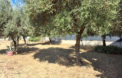 Montfrin, Languedoc-Roussillon 30490
