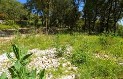 Uzès, Languedoc-Roussillon 30700