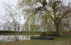 Coullons, Centre-Val de Loire 45720